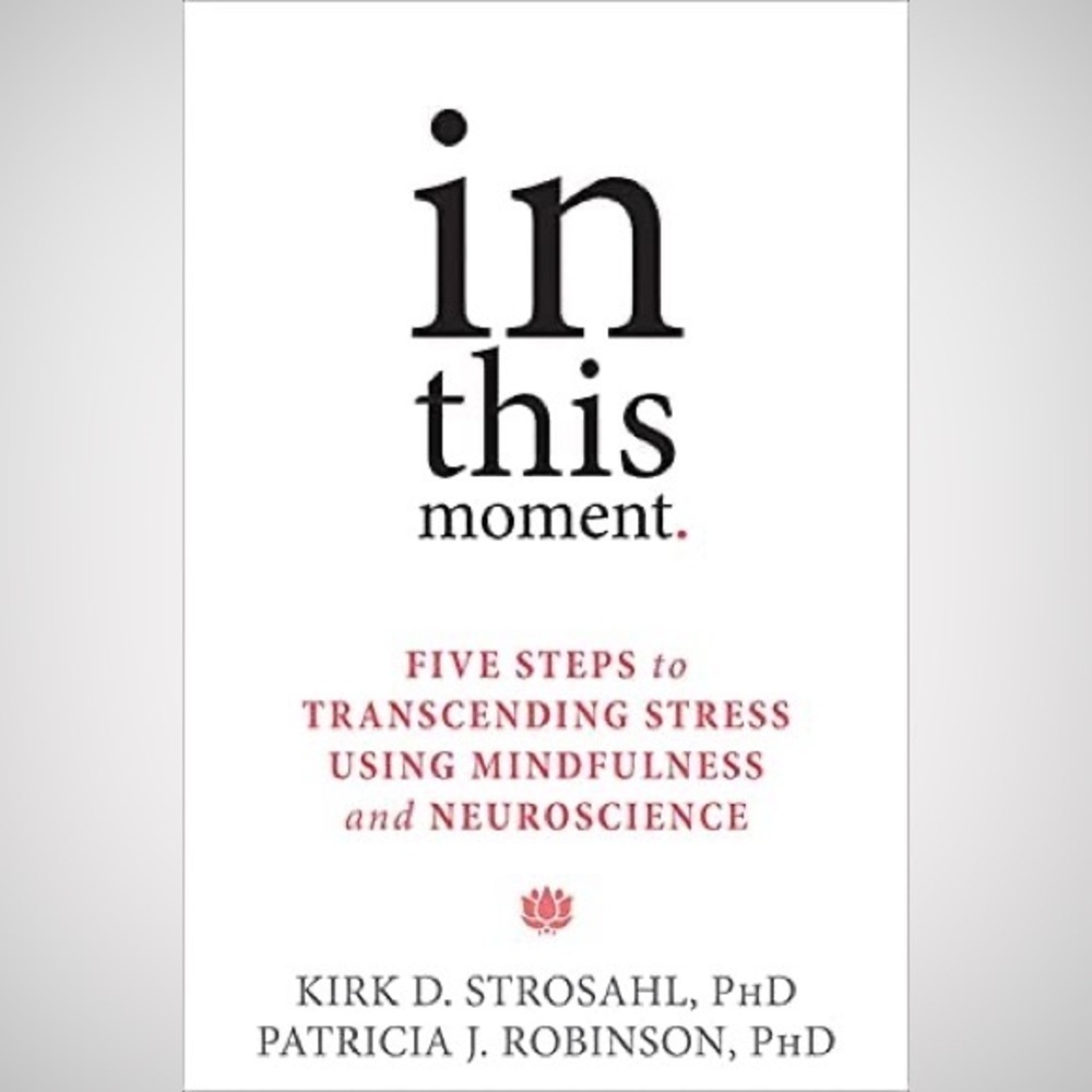 In This Moment book